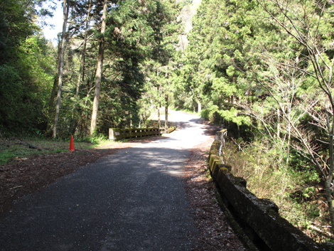20140419hike (16)